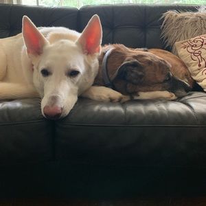 Meet your Posher, Erik